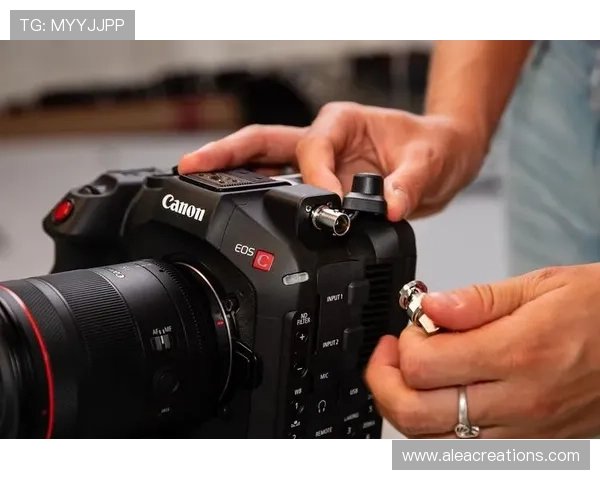 Z6尊龙真人平台最新玩法介绍与安全保障全面解析