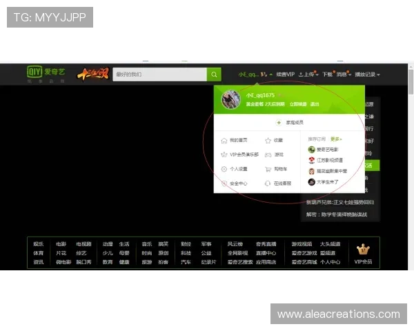 凯时vip网址导航大全,快速找到最可靠的官方登录地址和最新入口