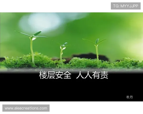 新娱乐在线官网下载安全可靠,确保每一次下载都放心无忧