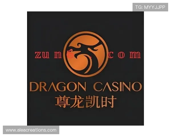 D88尊龙手机版官方平台安全稳定，支持多种支付方式，保障玩家资金安全